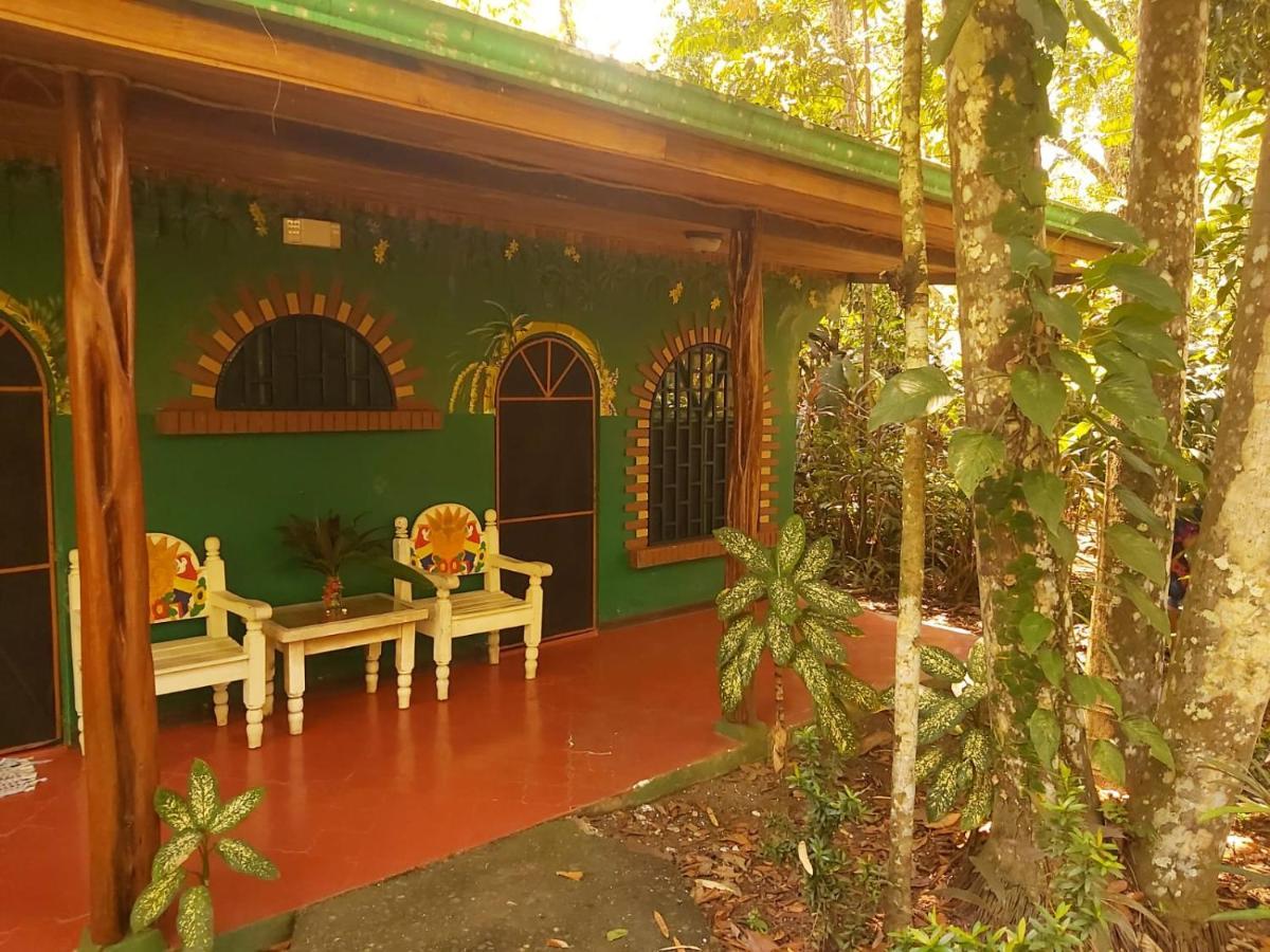 La Palapa Hut Nature Hostel Puerto Jiménez Екстериор снимка